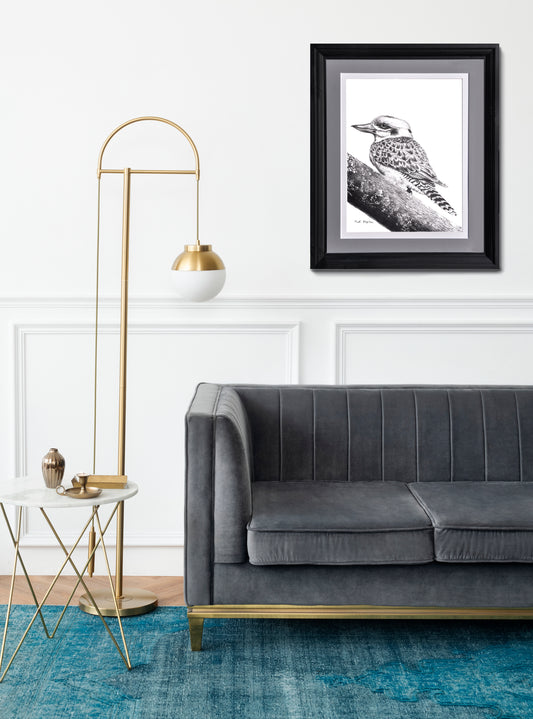 Framed Kookaburra: Original Pencil Drawing