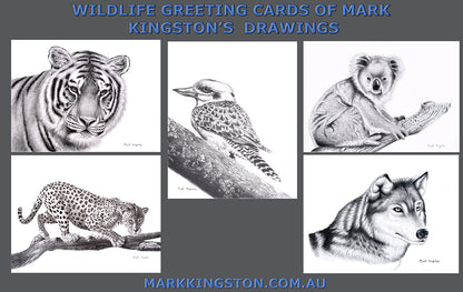 Wild Life Greeting Cards