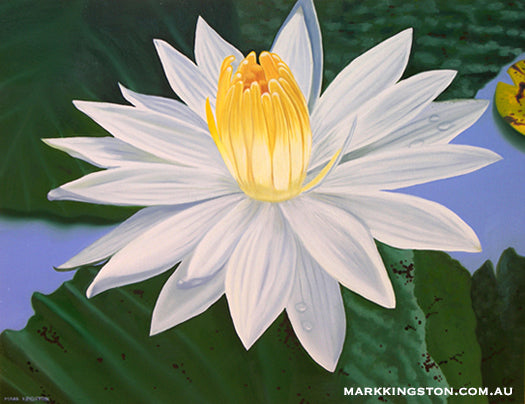 White Lotus: Gallery Still Life