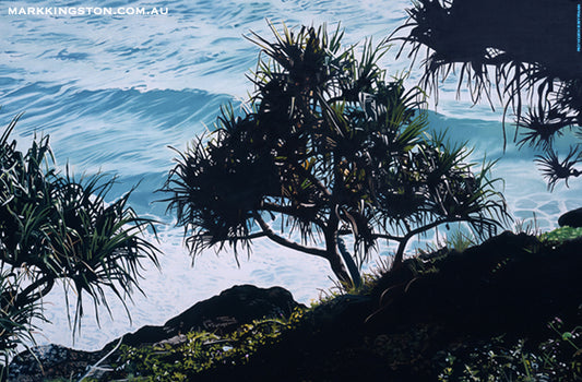 Panandus Trees at Point Danger: Canvas Print