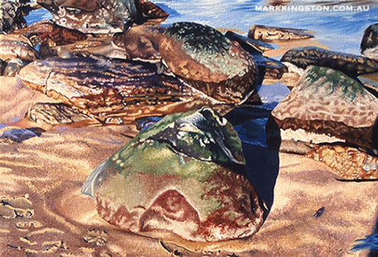 Rocks with Tidal Pool: Gallery