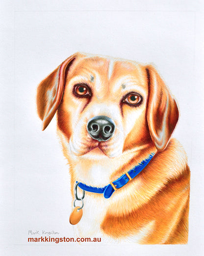 Custom Pencil Portraits of your Pet
