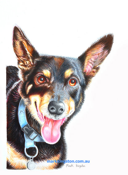 Custom Pencil Portraits of your Pet