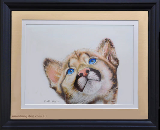 Framed Cougar Kitten: Original Pencil Drawing