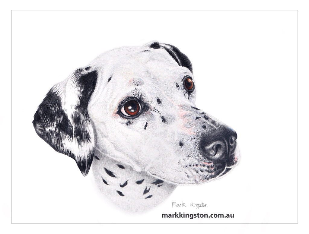 Coloured Pencil Portraits