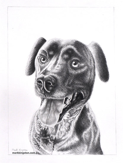 Custom Pencil Portraits of your Pet