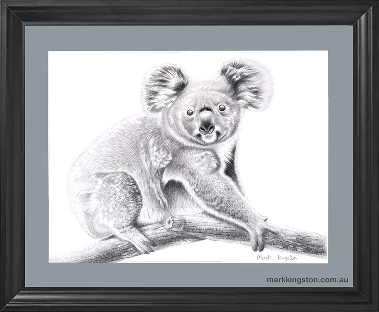 Framed Koala Bushfire Tribute: Original Pencil Drawing