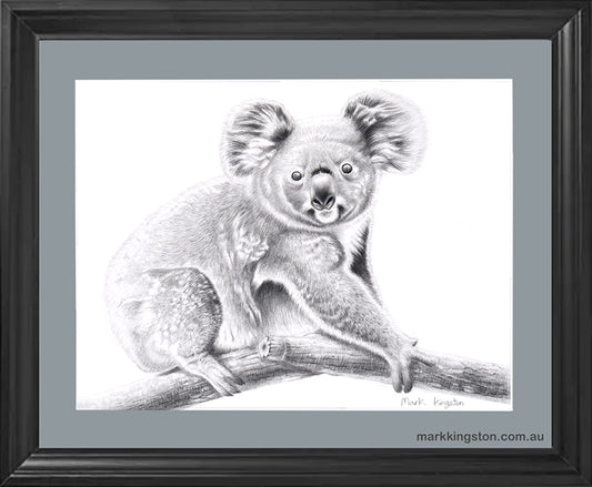 Framed Koala Bushfire Tribute: Original Pencil Drawing