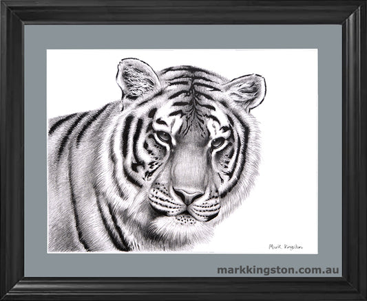 Framed Tiger Portrait
