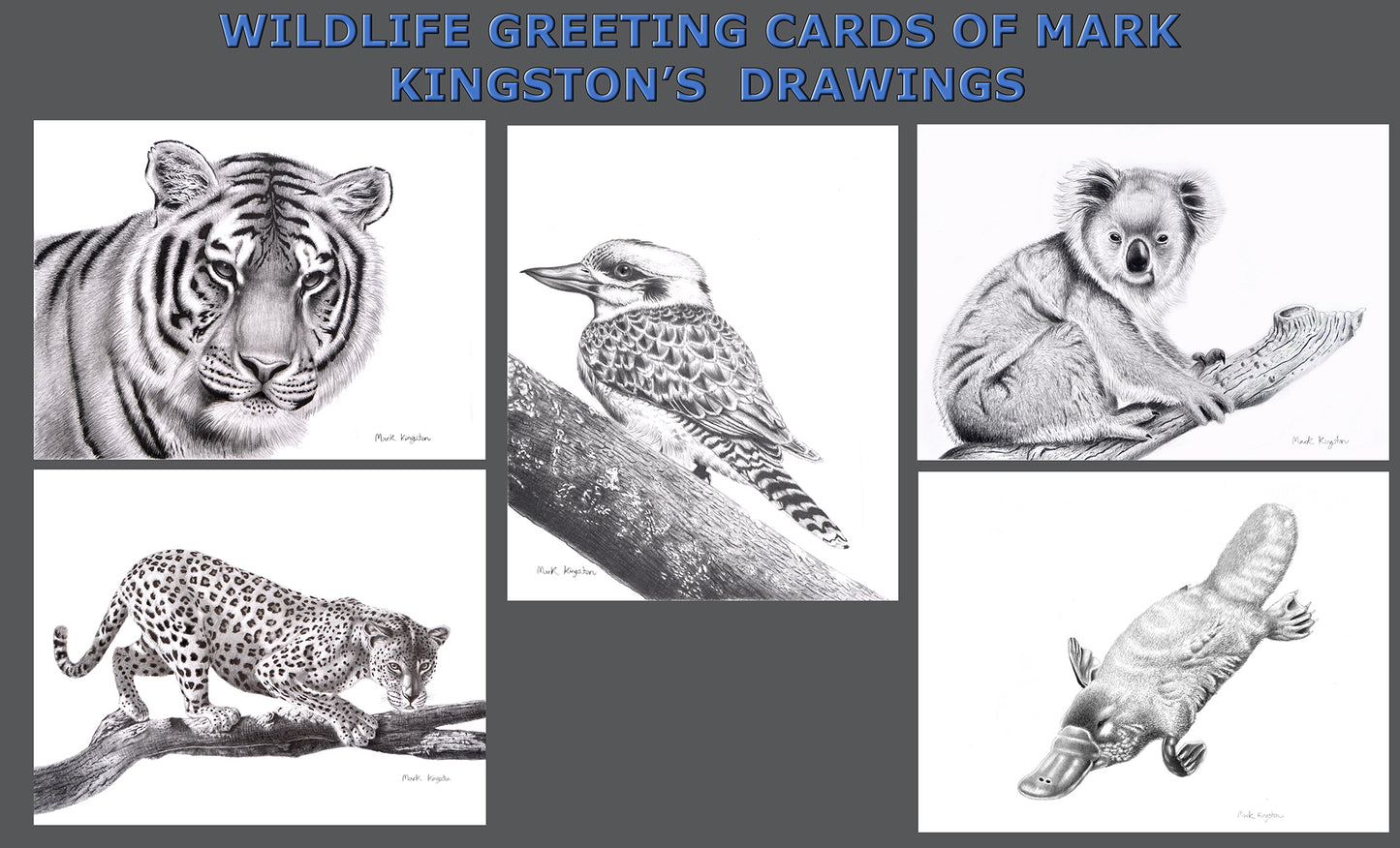Wild Life Greeting Cards