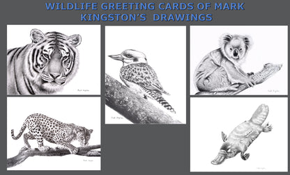 Wild Life Greeting Cards