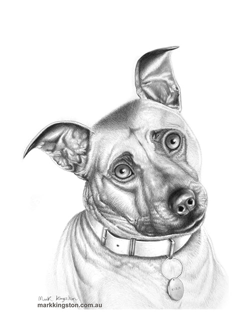 Custom Pencil Portraits of your Pet