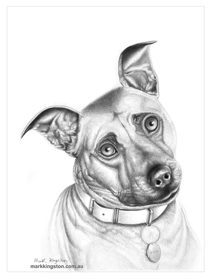 Custom Pencil Portraits of your Pet