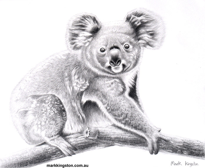 Wild Life Greeting Cards