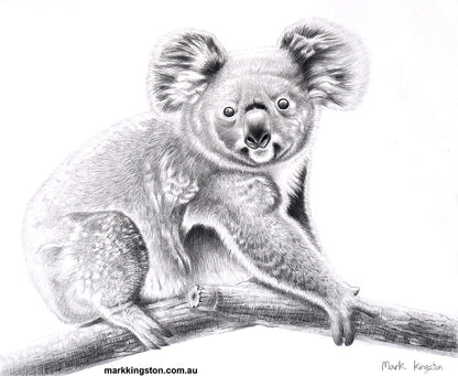Wild Life Greeting Cards