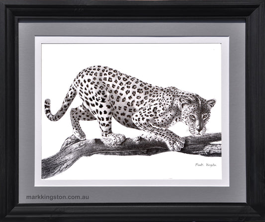 Framed Leopard: Original Pencil Drawing