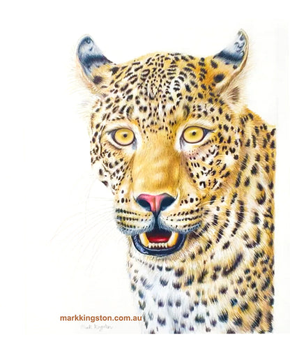 West African Leopard: Original Coloured Pencil Drawing