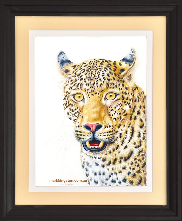 West African Leopard: Original Coloured Pencil Drawing