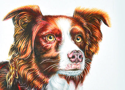 Coloured Pencil Portraits