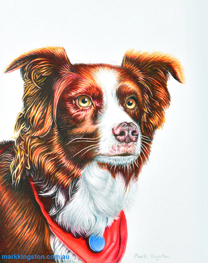 Custom Pencil Portraits of your Pet