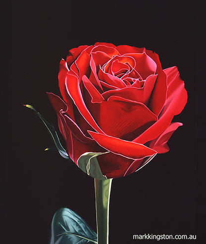 Red Rose: Original Oil Painting