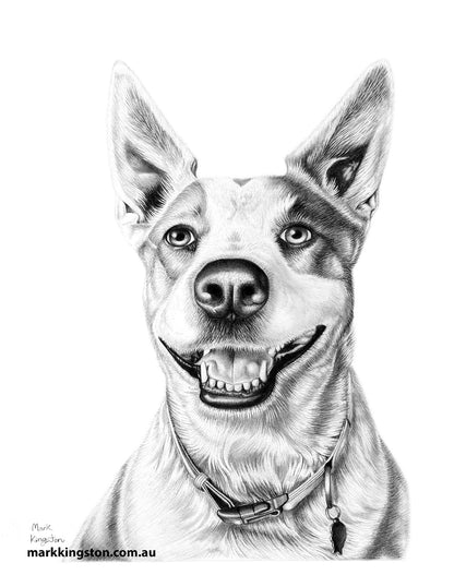 Custom Pencil Portraits of your Pet