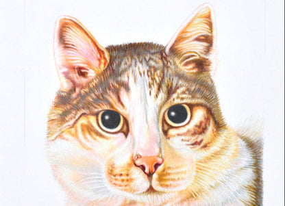 Coloured Pencil Portraits