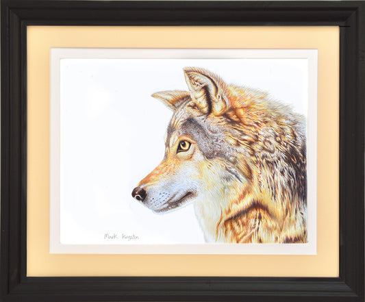 Tundra Wolf: Original Pencil Drawing