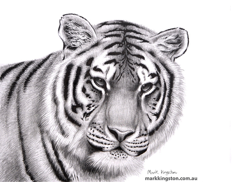 Wild Life Greeting Cards