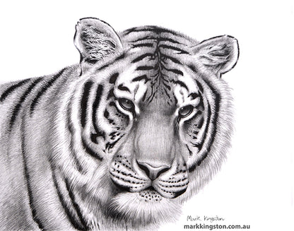Wild Life Greeting Cards