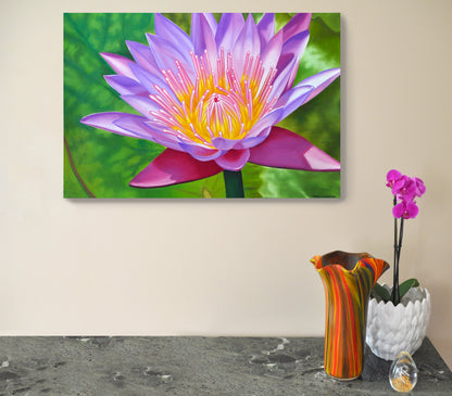Purple Haze (WaterLily) Original Oil Painting
