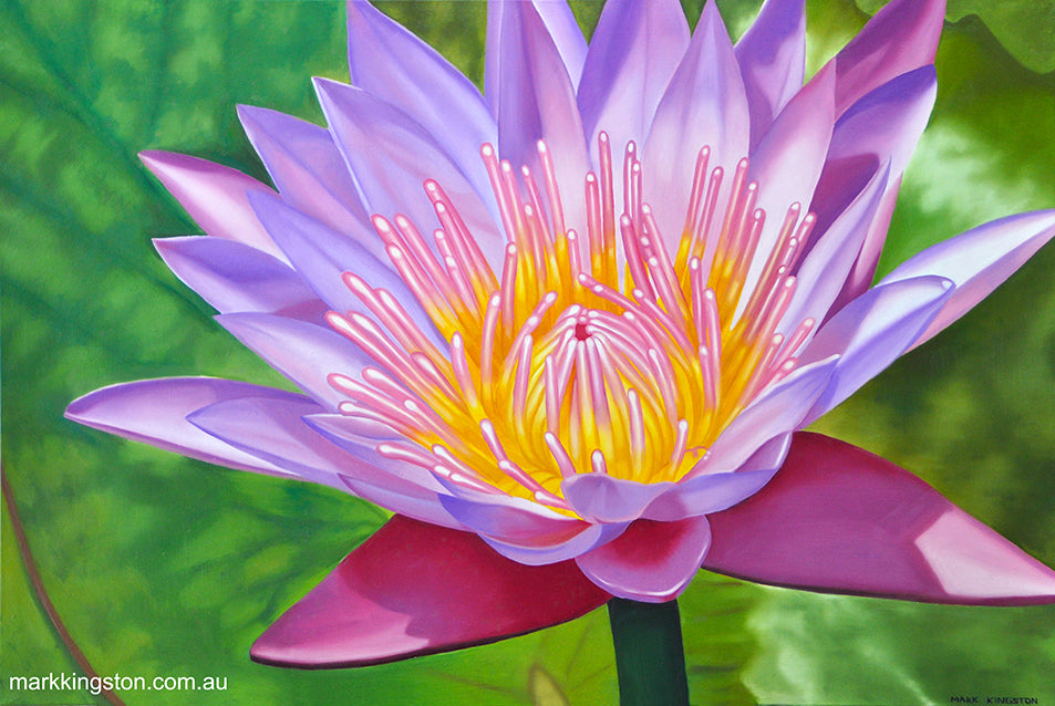 Water Lily Original Oil Painting