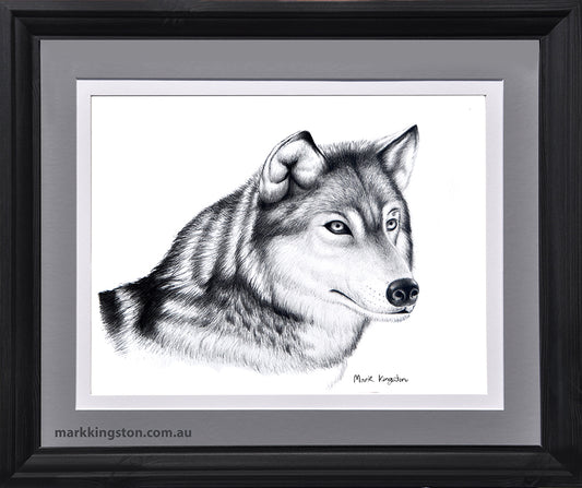 Siberian Husky Portrait