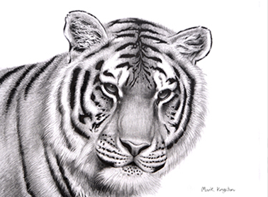 Tiger Greeting Cards