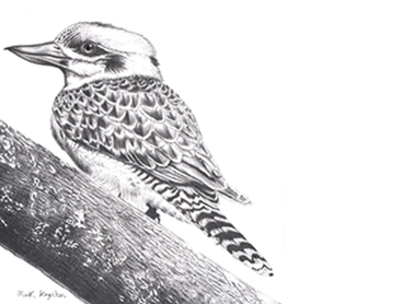 Wild Life Greeting Cards