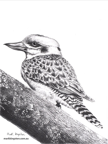 Wild Life Greeting Cards