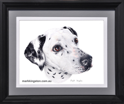 Dalmatian-34-Framed-jan-2025-DSC_3679